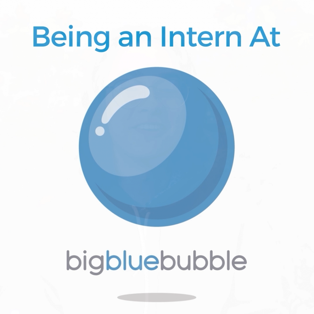 The Big Blue Bubble Internship Experience